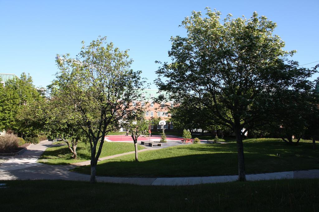 Memorial University Saint-Jean de Terre-Neuve Extérieur photo